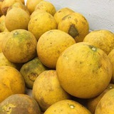 Mua bưởi, cứ học thuộc mẹo này là biết ngay bưởi ngon hay bưởi dở