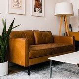 4 sai lầm thường gặp nhất khi trồng cây trong nhà