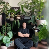 Bỏ phố về... ban công: Chàng trai 9x chia sẻ bí kíp "mang rừng về phố", chỉ 3 quy tắc sắp xếp là có ngay góc chill triệu like