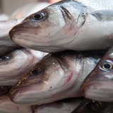 10 mẹo chọn cá tươi người bán không muốn bạn biết