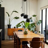 6 vị trí trong nhà tuyệt đối không được đặt cây: Số 3 khiến nhiều người "ngã ngửa"