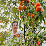 Cơ ngơi 1.000m2 của nam NSƯT mang quân hàm Thượng tá, U70 sống bình yên bên cô công nhân xưởng may