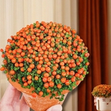 "Bảo bối" phong thủy mới cho Tết Bính Ngọ 2026: Tên nghe sang chảnh, bé xíu xiu mà hút lộc cả năm