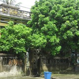 Cửa nhà có 3 thứ này, cả người lẫn của đều lao đao: Sai lầm phong thủy nhà nào cũng nên tránh