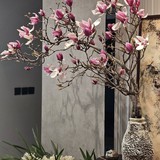 5 loại hoa chơi Tết “không có đỉnh nhất chỉ có đỉnh hơn”: Chưng xong chỉ ngẩn ngơ ngắm, đẹp đến nỗi cạn từ khen