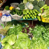 Loại rau tốt bậc nhất thế giới, bổ ngang nhân sâm tổ yến, chợ Việt bán đầy từ 15.000 đồng/kg