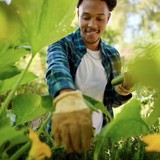 4 loại cây cần được gieo trồng ngay bây giờ