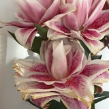 "Kiếp nạn" cắm hoa ly kép ngày Tết: 3 năm đều bị cháy cánh tịt ngòi, hội chị em bóc trần nguyên nhân và hiến kế chọn hoa bất bại