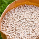 Rắc thứ này ra vườn trước tháng 3, cỏ dại khó nảy mầm, cây cối xanh tươi bất ngờ