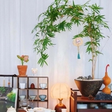 5 việc NÊN làm trong tháng Giêng, 3 việc tuyệt đối KHÔNG NÊN phạm