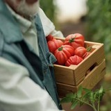 5 loại cây nên được gieo trồng ngay bây giờ