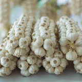 Gia vị dân dã của Việt Nam trồng tại nơi đặc biệt trở thành "vàng trắng": Giá đến 1,5 triệu đồng/kg