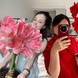 Tết này đừng chỉ chơi đào quất: Thử ngay loài hoa "hệ lười" không cần tưới vẫn nở rực rỡ, tên gọi nghe thôi đã thấy tiền tài tới tấp!