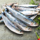 7 loại cá tích tụ thủy ngân nhiều bậc nhất