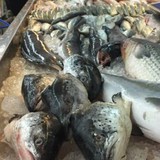 Hoa mắt trước quầy cá siêu thị: Nhân viên chỉ 3 loại "vô địch DHA", tốt cho não, giá vừa túi tiền