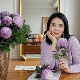 Say đắm cúc mẫu đơn tím nhưng sợ cắm lên bị già? Đừng vội mua nếu chưa biết bí mật về "mùa hoa đẹp nhất" này!