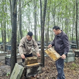 Ít ai ngờ sản vật quen thuộc của nông dân Việt lại xuất khẩu sang Mỹ, châu Âu với doanh thu gần 20 tỷ/năm