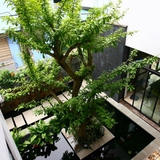 Ông bà dặn: Nhà xuất hiện 6 dấu hiệu này chứng tỏ rất lộc, càng ở càng lãi, tuyệt đối đừng bán