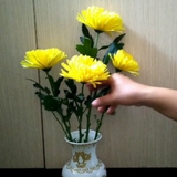 Cảnh báo đặc biệt tới các gia đình đang cắm hoa cúc trên bàn thờ ngày Rằm, mùng 1