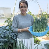 Mẹ đảm Hà Nội biến sân thượng tầng 5 thành "ốc đảo" rau trái xanh mướt