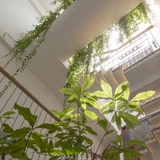 Ông bà dặn: Nhà có đủ 6 dấu hiệu này thì ai hỏi cũng đừng bán, càng ở càng tốt, con cháu hưởng lợi nhiều đời