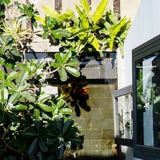 Ông bà dặn: Nhà có 7 dấu hiệu này thì đừng bao giờ bán, càng ở càng vượng, tốt cho con cháu nhiều đời sau