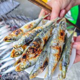 Loại cá nhiều omega-3 hơn cá hồi, được Mỹ đánh giá tốt bậc nhất thế giới: Ngư dân Việt coi là “lộc biển”