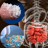 Vật này trong nhà là "ổ VI NHỰA", càng dùng càng rước bệnh!