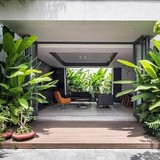 5 loại cây không nên trồng trước cửa nhà: Cây càng xanh tốt nhà càng suy