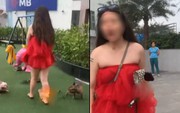 Bị nhắc nhở khi thú cưng phóng uế tại khu vui chơi trẻ em ở Hà Nội, cô gái vẫn cố cãi: "Con chó cũng như trẻ con thôi"