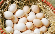 Ăn đúng 7 thực phẩm này, cơ thể "chống lão hóa tự nhiên", da dẻ mịn màng, ngủ ngon, ít bệnh!