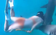 Kinh hoàng cảnh cô gái bị cá mập cắn nhưng vẫn từ chối lên bờ vì muốn chụp thêm ảnh