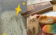'Nuôi' đồ vô tri để giảm stress