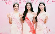 Hoa hậu Việt Nam có được phẫu thuật thẩm mỹ sau khi đăng quang?