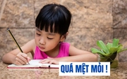 Đọc đề xuất của phụ huynh gửi đến Bộ giáo dục mà tôi quá ngán ngẩm: Cứ làm "náo loạn" mãi, các anh chị không mệt mỏi sao?
