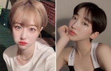 Tóc pixie vừa mát mẻ lại vừa sành điệu thế này, bảo sao trên Instagram bây giờ toàn các "cô nàng đẹp trai"