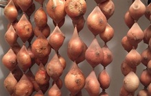 17 mẹo bảo quản giữ thực phẩm tươi ngon lâu hơn: Điều số 7 nhiều người hay nhầm lẫn