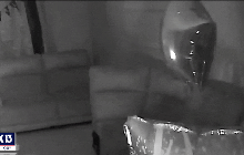 Bị tiếng chó sủa đánh thức, người phụ nữ sang kiểm tra phòng con gái rồi hét lớn, xem lại camera còn rùng mình hơn