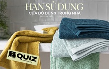 Đồ dùng trong nhà có món nên thay hàng tuần mà không phải ai cũng biết, bạn tự tin rõ hết hạn sử dụng của đồ đạc thì thử bài Quiz này