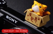 Loạt phụ kiện chụp ảnh "nhỏ mà có võ", dân chuyên hay "gà mờ" đều nên sắm ngay và luôn