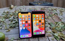 Không phải vì "rẻ", không phải vì cỡ nhỏ, iPhone 12 Mini thất bại là vì "sai lầm trong tính toán" của Tim Cook