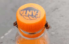 Xuất hiện video cho thấy loài ong đang xâm chiếm thế giới này như thế nào: Chúng thông minh như con người