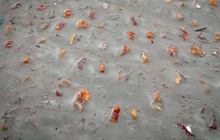 Con sông đưa người chết trở về: Bờ sông Hằng lổn nhổn xác người, tất cả đều là nạn nhân của một địa ngục đã qua