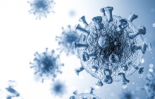 Nghiên cứu mới hé lộ những đặc tính nguy hiểm của biến thể Delta