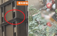 Bé trai 6 tuổi bị ném từ tầng 29, mẹ bị đâm nhiều nhát dao đẫm máu, danh tính và hành vi thách thức của hung thủ gây rùng mình