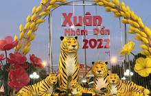 “Gia đình hổ” bỗng dưng nổi tiếng ở Bạc Liêu