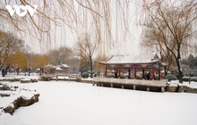 Bắc Kinh ngập trong tuyết trước thềm Olympic mùa đông