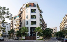 Biệt thự 3 mặt tiền nằm trong khu đô thị đắt đỏ Hà Nội: Chủ nhà chịu chơi "đục" 7 mét tạo thông tầng chỉ để có khoảng thở cho cây xanh phát triển