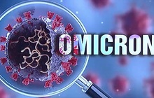 Omicron tiếp tục "áp đảo" các biến thể khác trên toàn cầu