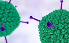 Chuyên gia: Không xét nghiệm tràn lan Adeno virus ở trẻ em